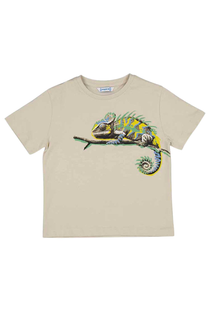 Chameleon T-Shirt