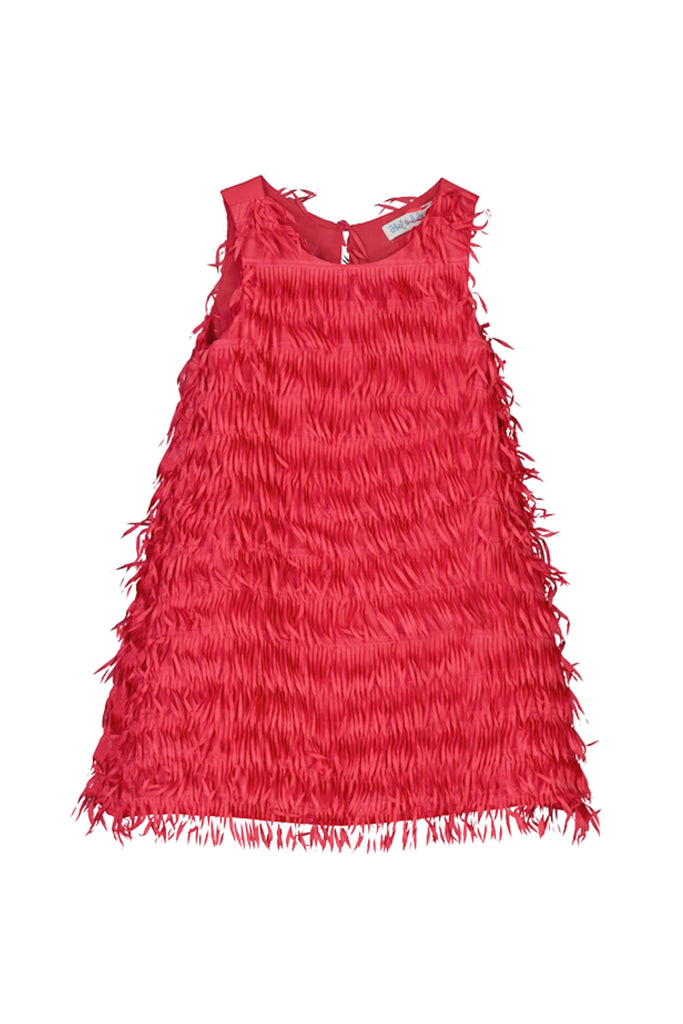 Magenta Sleeveless Fringe Dress