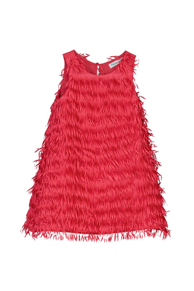 Magenta Sleeveless Fringe Dress