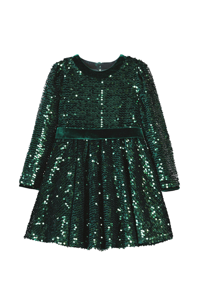 Green Sequins Velvet Dress